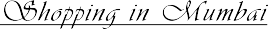 Shop36.gif (3319 bytes)